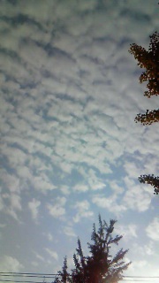 �_�ƕX�̔����֌W