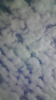 �܂������Ⴄ�N���D��